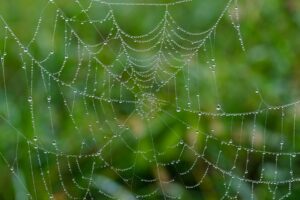 Web3 e AI Platform AGII atualizam pacote de segurança com detecção de ameaças baseada em IA para maior segurança Web3